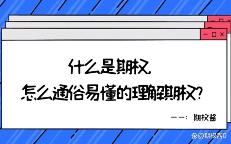 国内助孕机构排名（期权有哪些构成要素）期权的定义和分类，